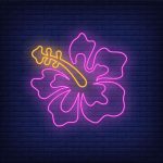 Hibiscus Neon Sign