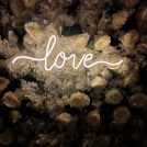 love-neon-sign.jpg