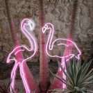 pink-flamingo-neon-light-sign.jpg