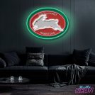 south-sydney-rabbitohs-neon-sign-1.jpg